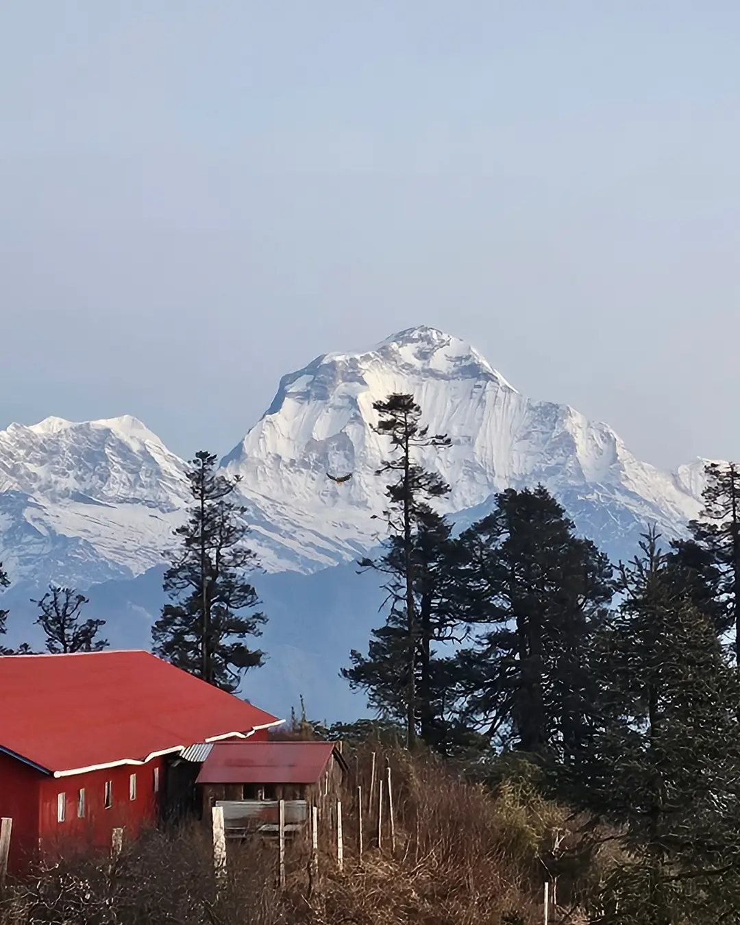 Mountains